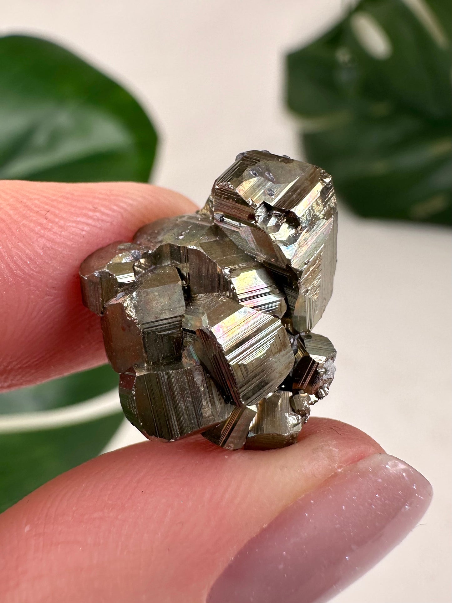 Iridescent Pyrite No. 10P5