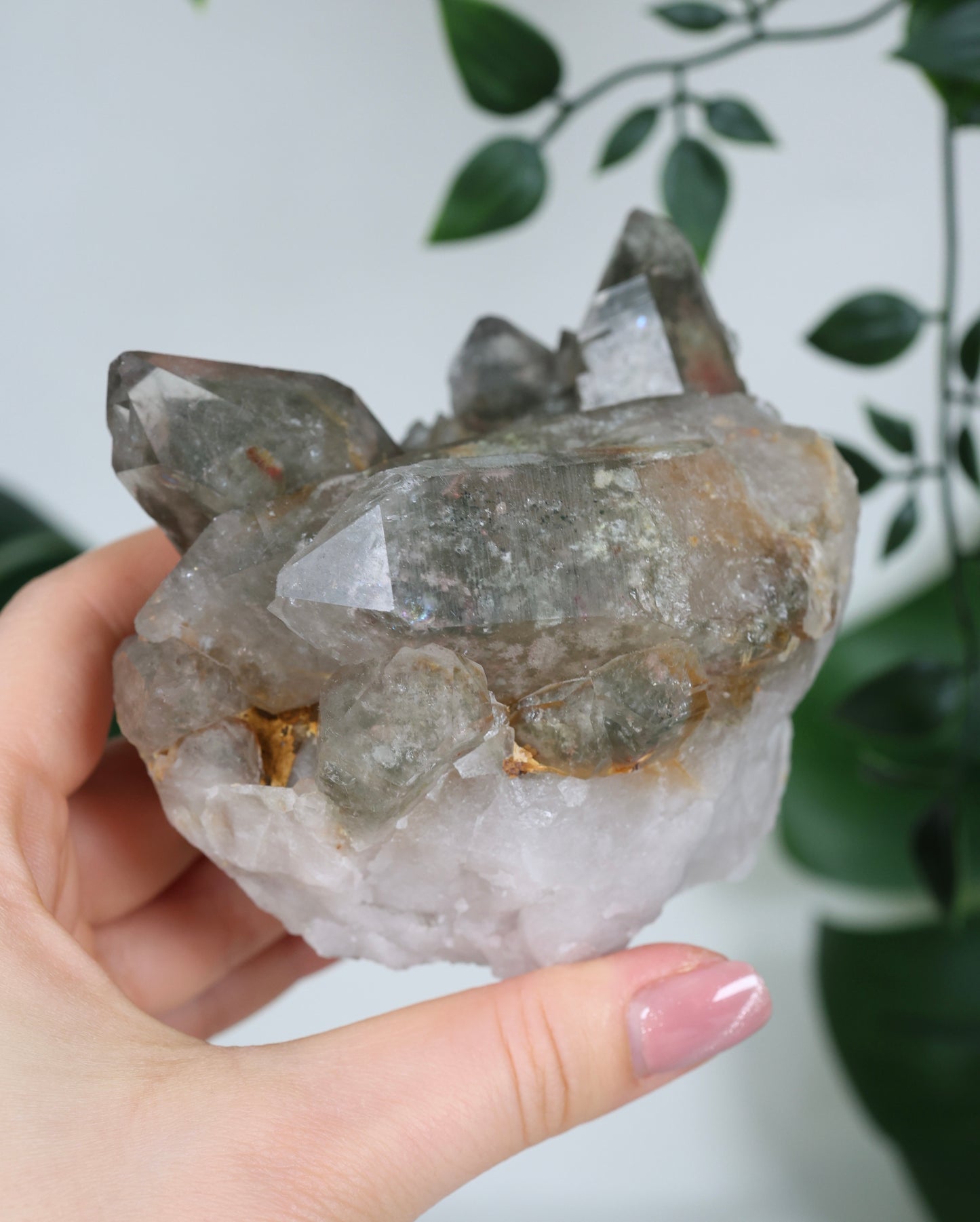 Gartenquarz x Rutil Cluster Nr.245GR