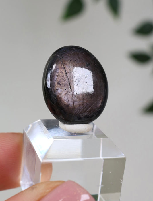 Sternsaphir Nr.17SP