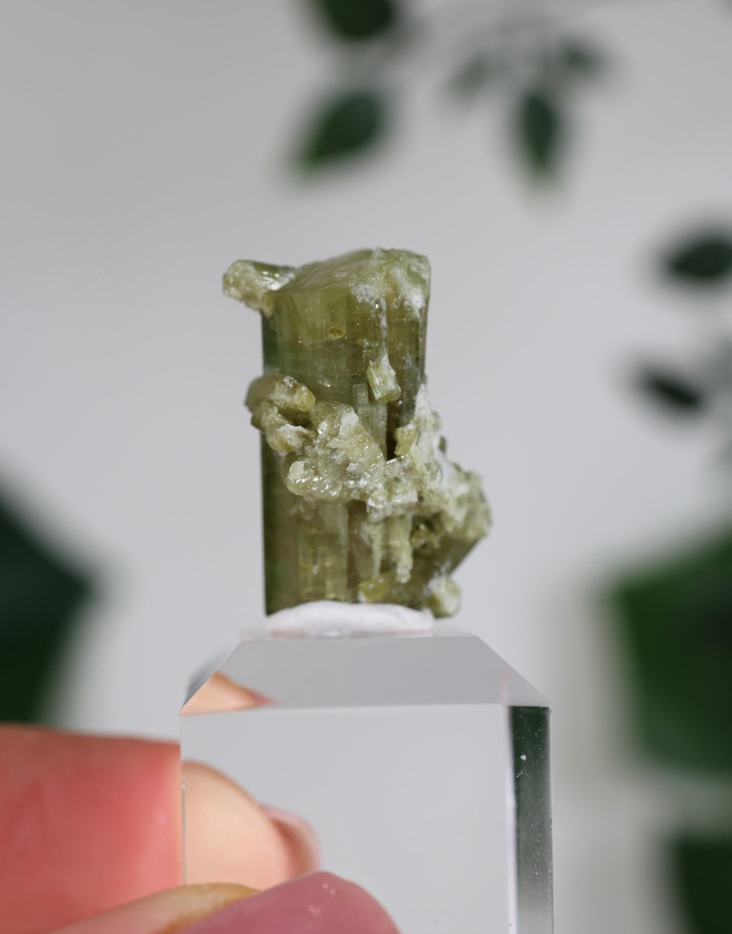 Grüner Turmalin XS - Auswahl