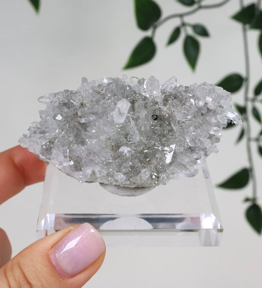 Starburst Quarz x Hämatit Goboboseb Nr.168GS