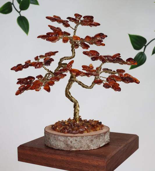 Bernstein Baum Nr.53B1