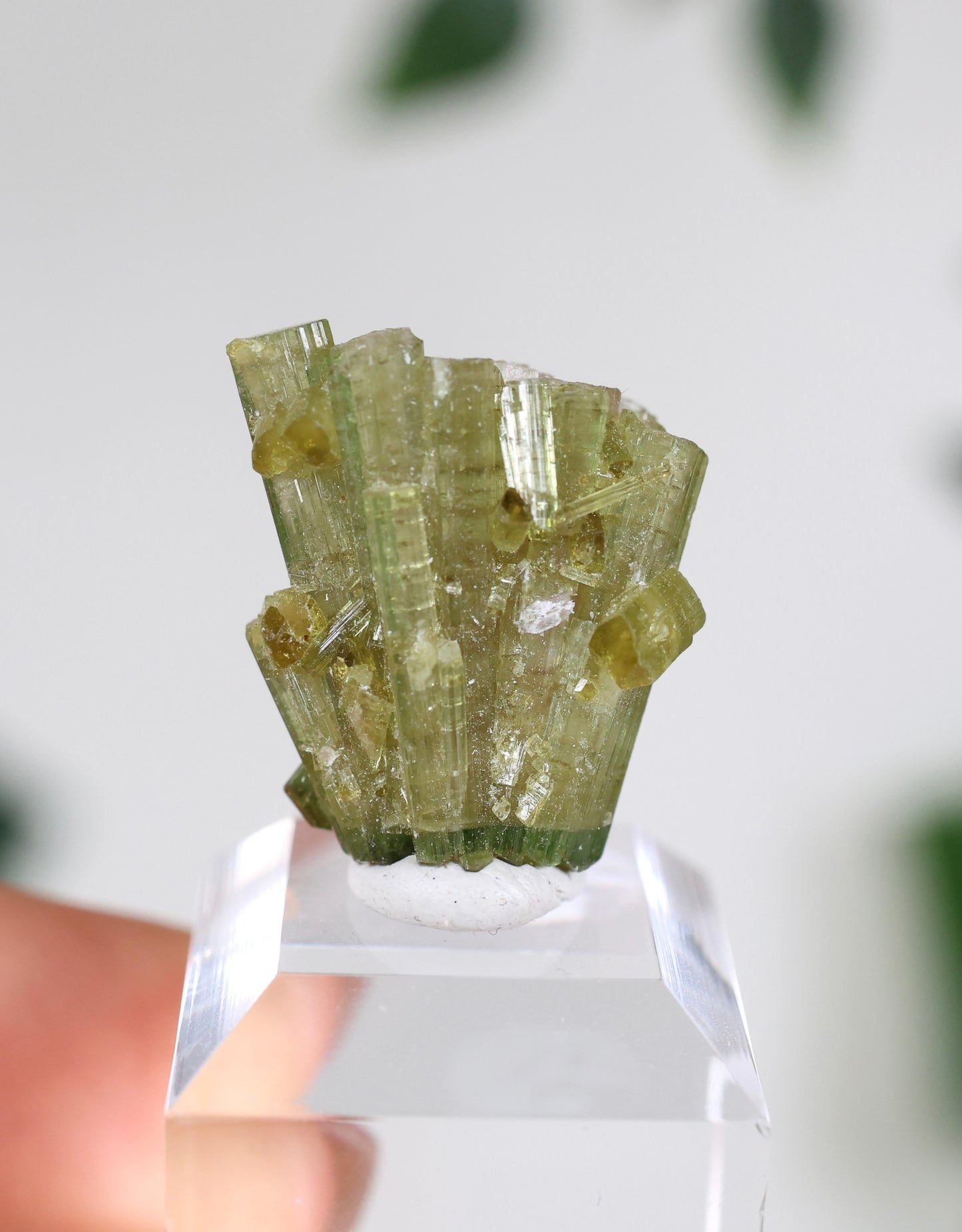 Grüner Turmalin Nr.35GT