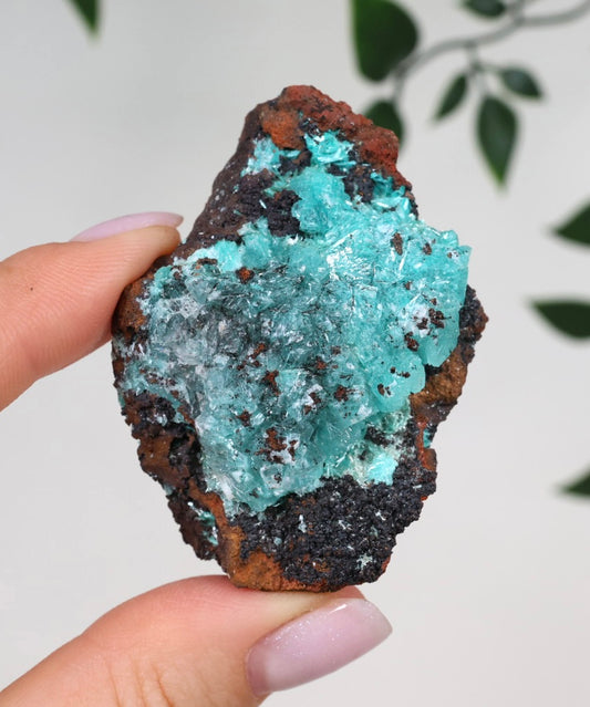 Aurichalcite Nr.29AU