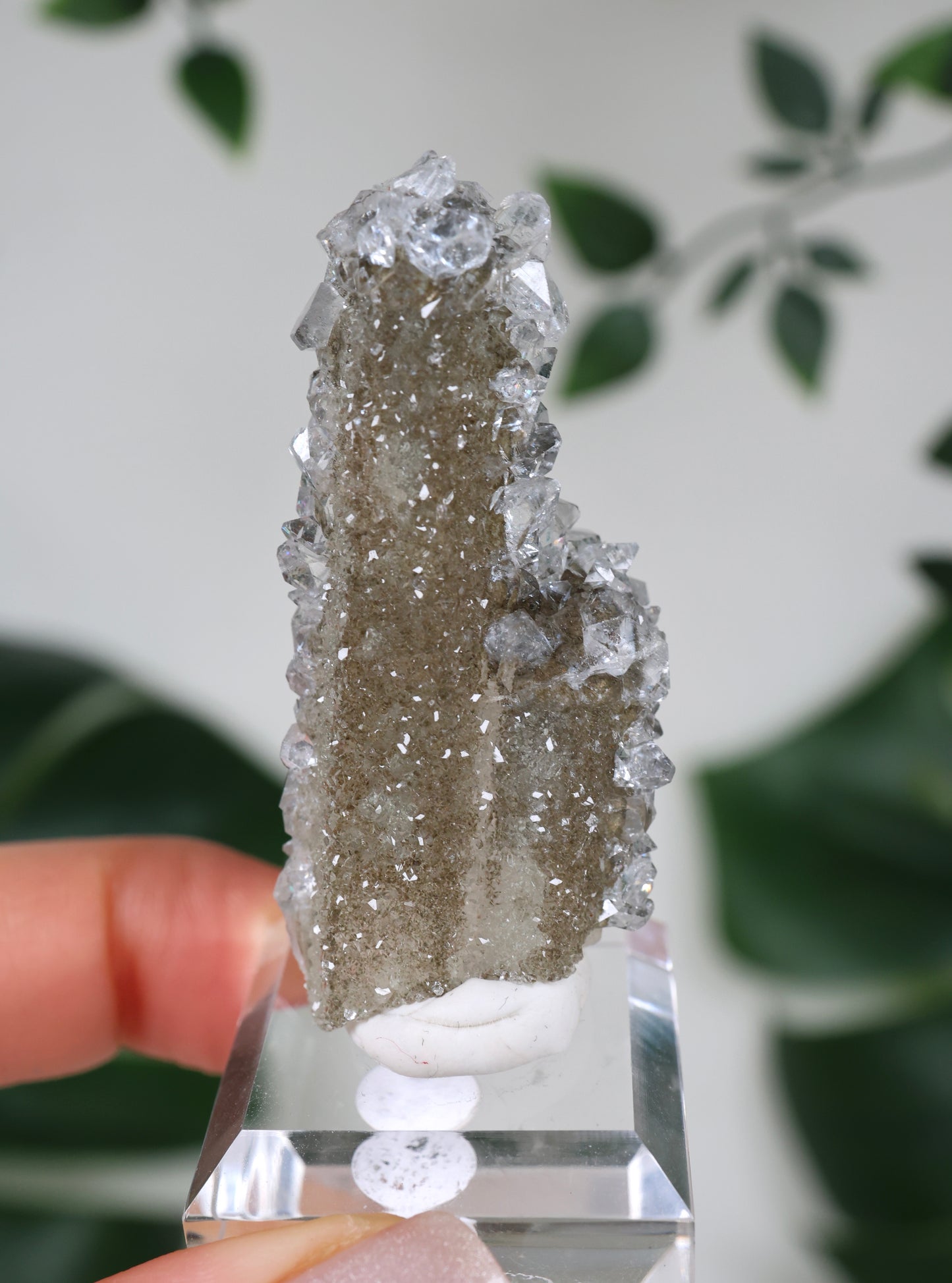Apophyllit x Quarz x Chlorit Nr.88QA