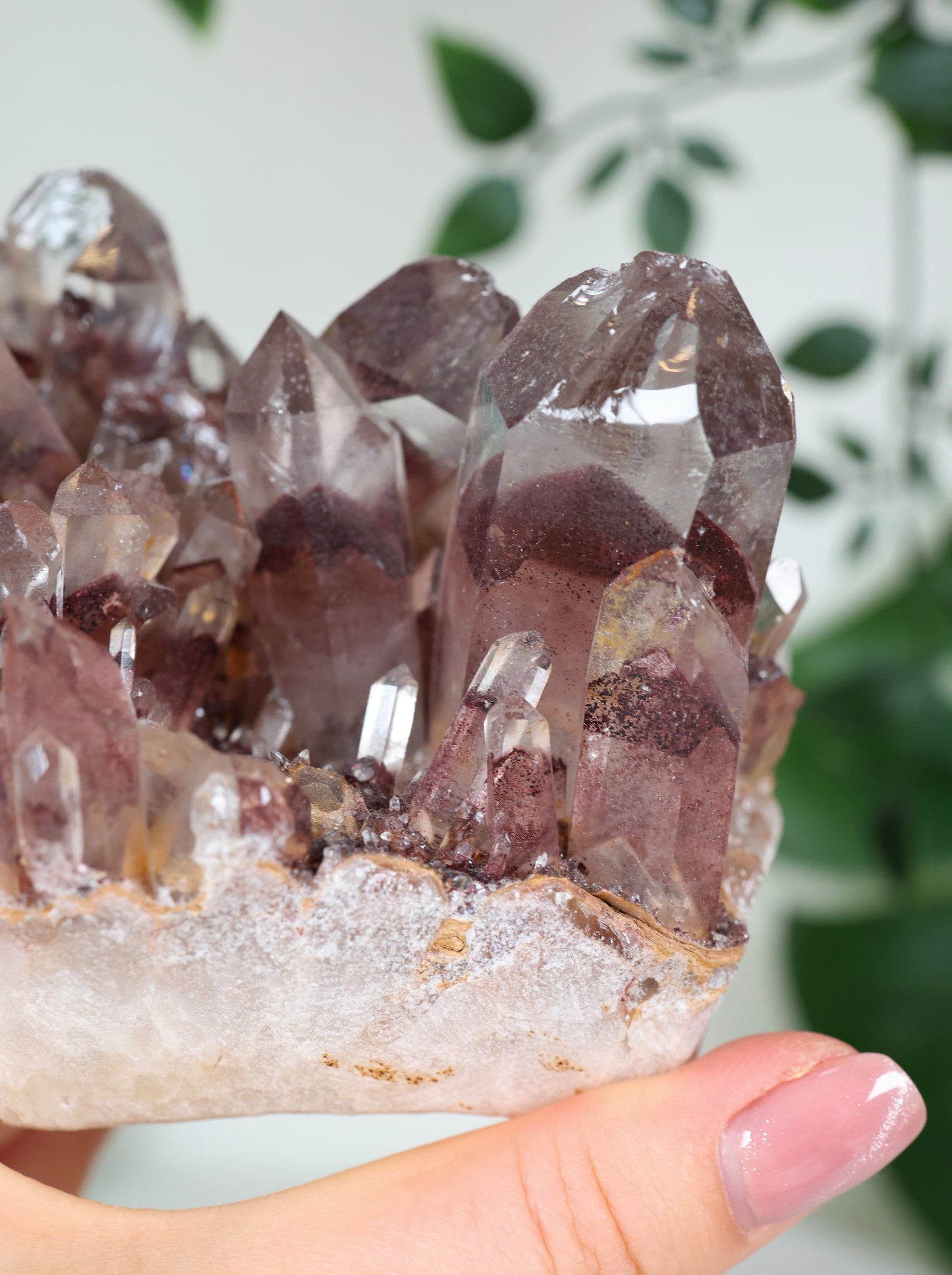 Sunset Quarz Nr.298SQ