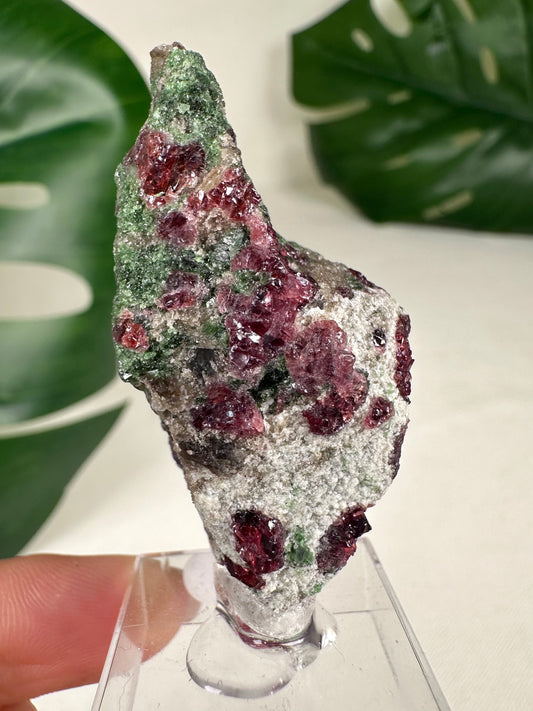 Pyrop Granat x Chromdiopsid Nr.98PC