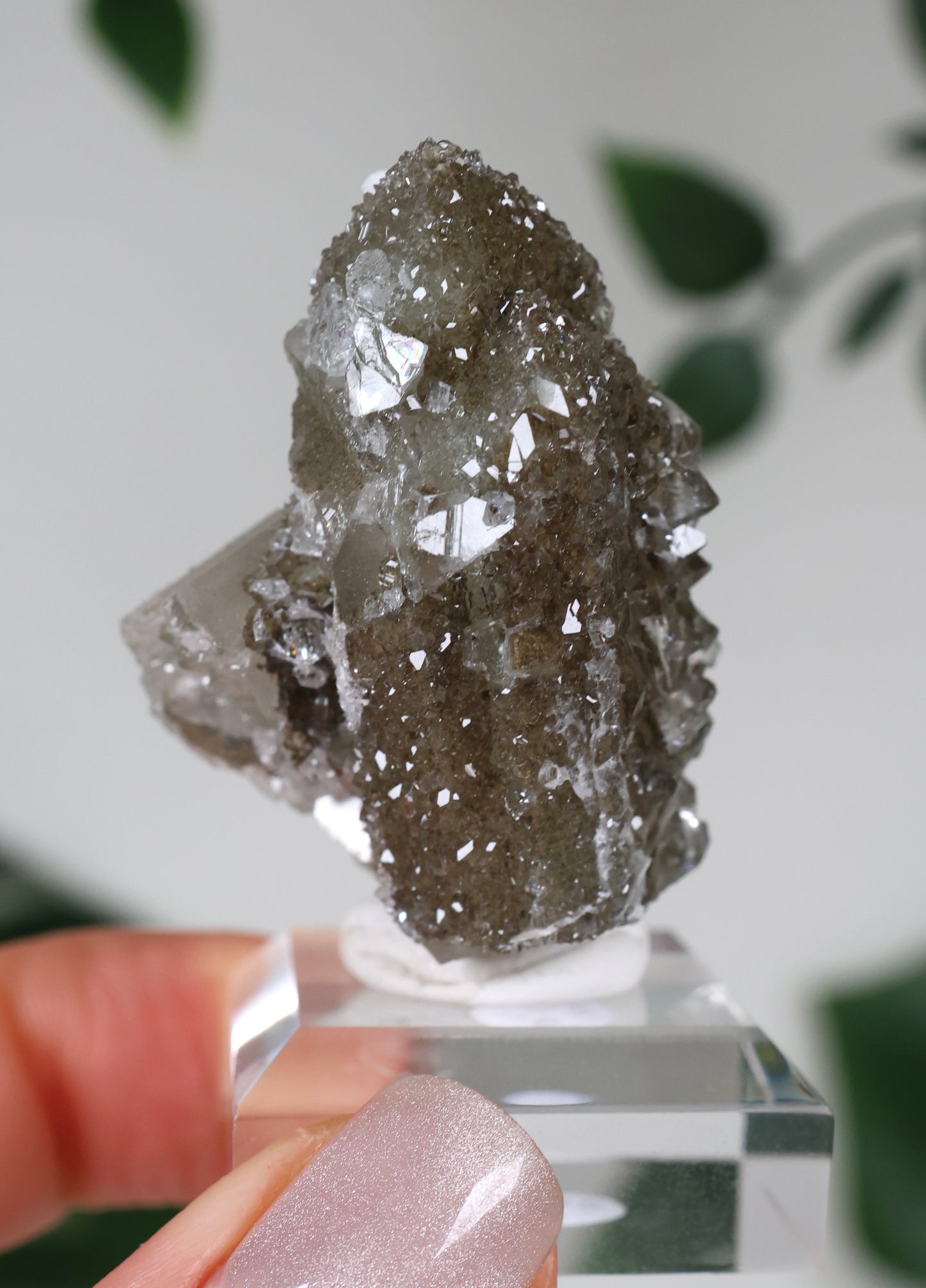 Apophyllit x Quarz x Chlorit Nr.68QA