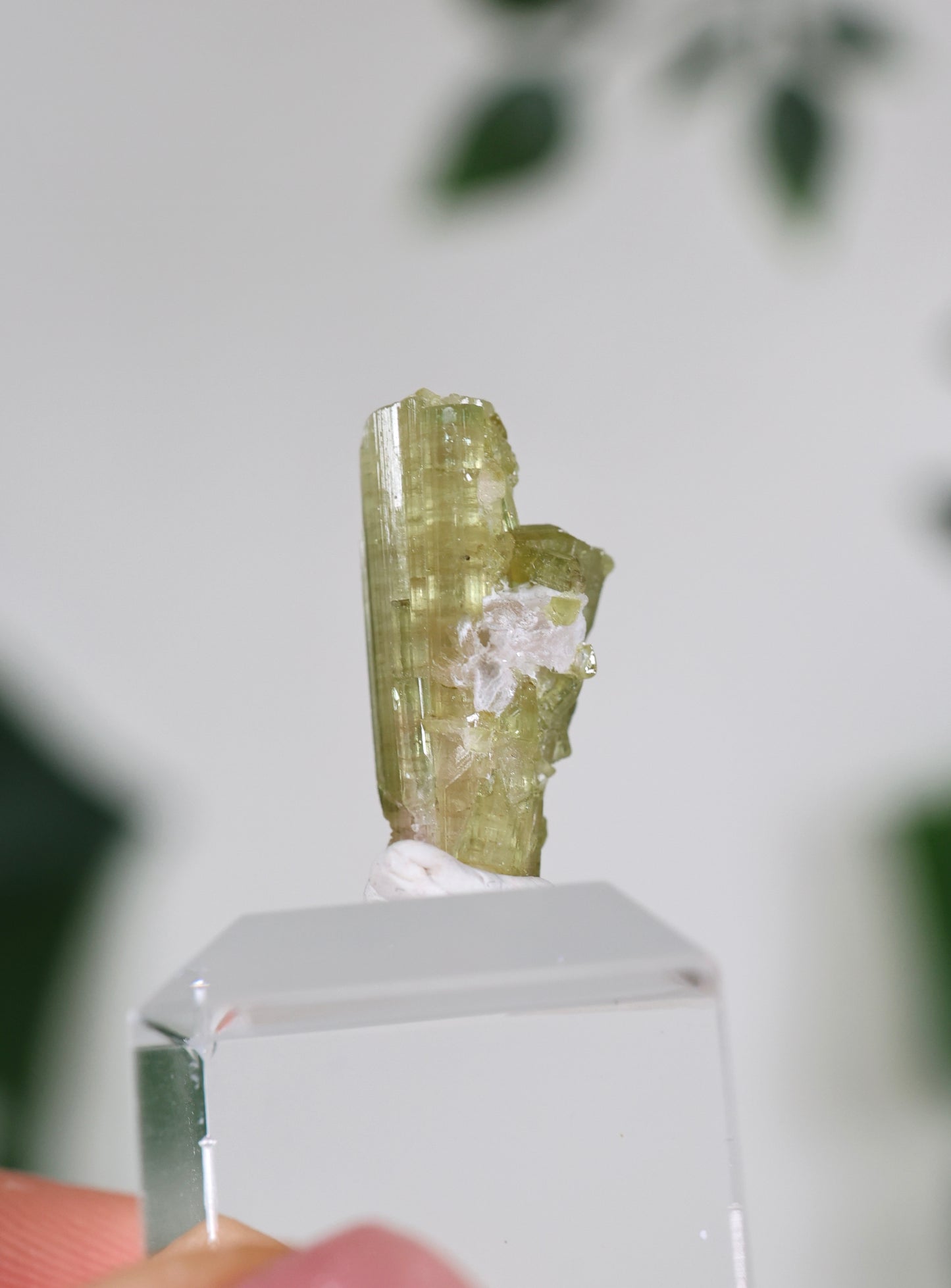 Grüner Turmalin XS - Auswahl