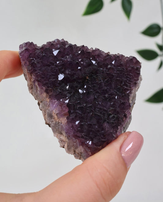 Alacam Amethyst Nr.30AC