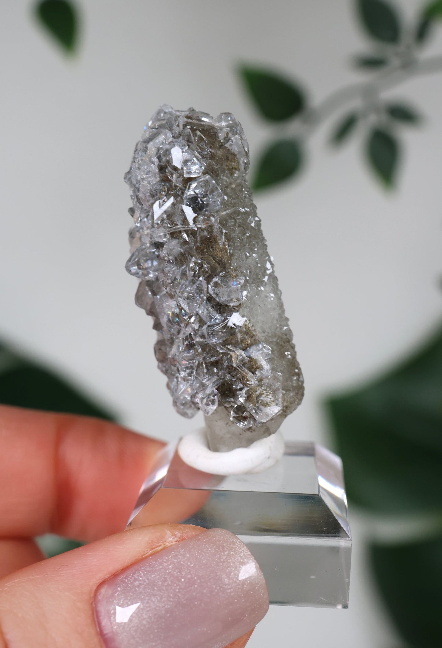 Apophyllit x Quarz x Chlorit Nr.57QA