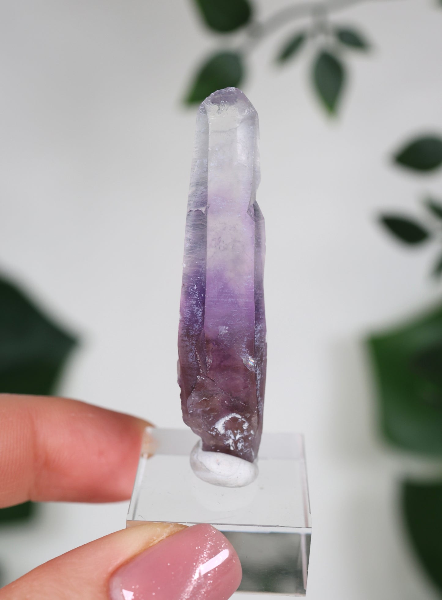 Guerrero Amethyst Oldstock XS - Auswahl