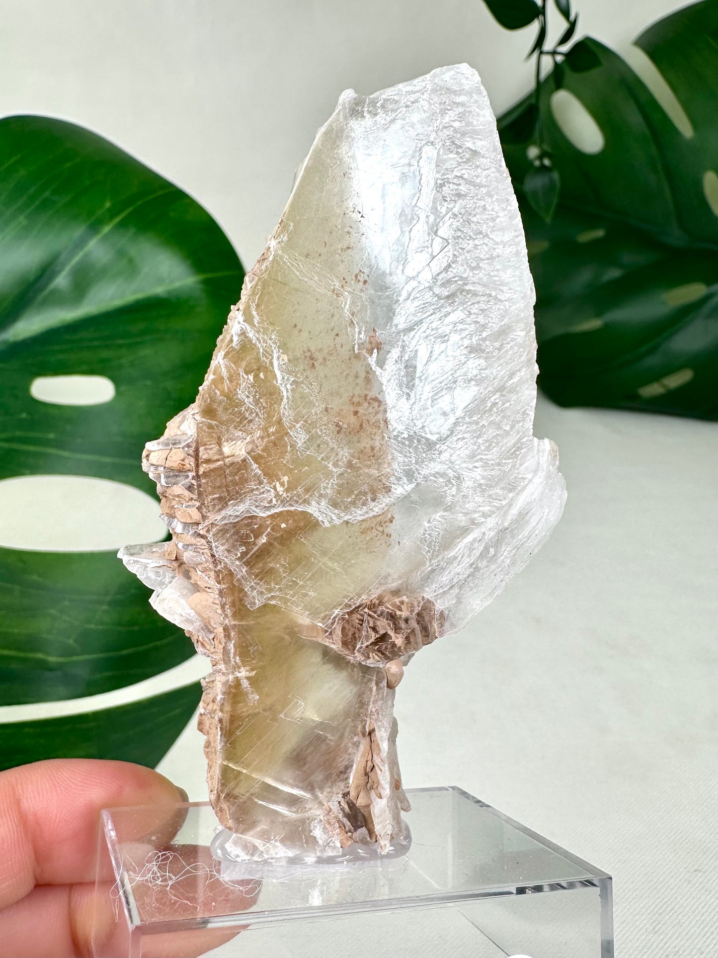 Bicolor Selenite No. 58BS