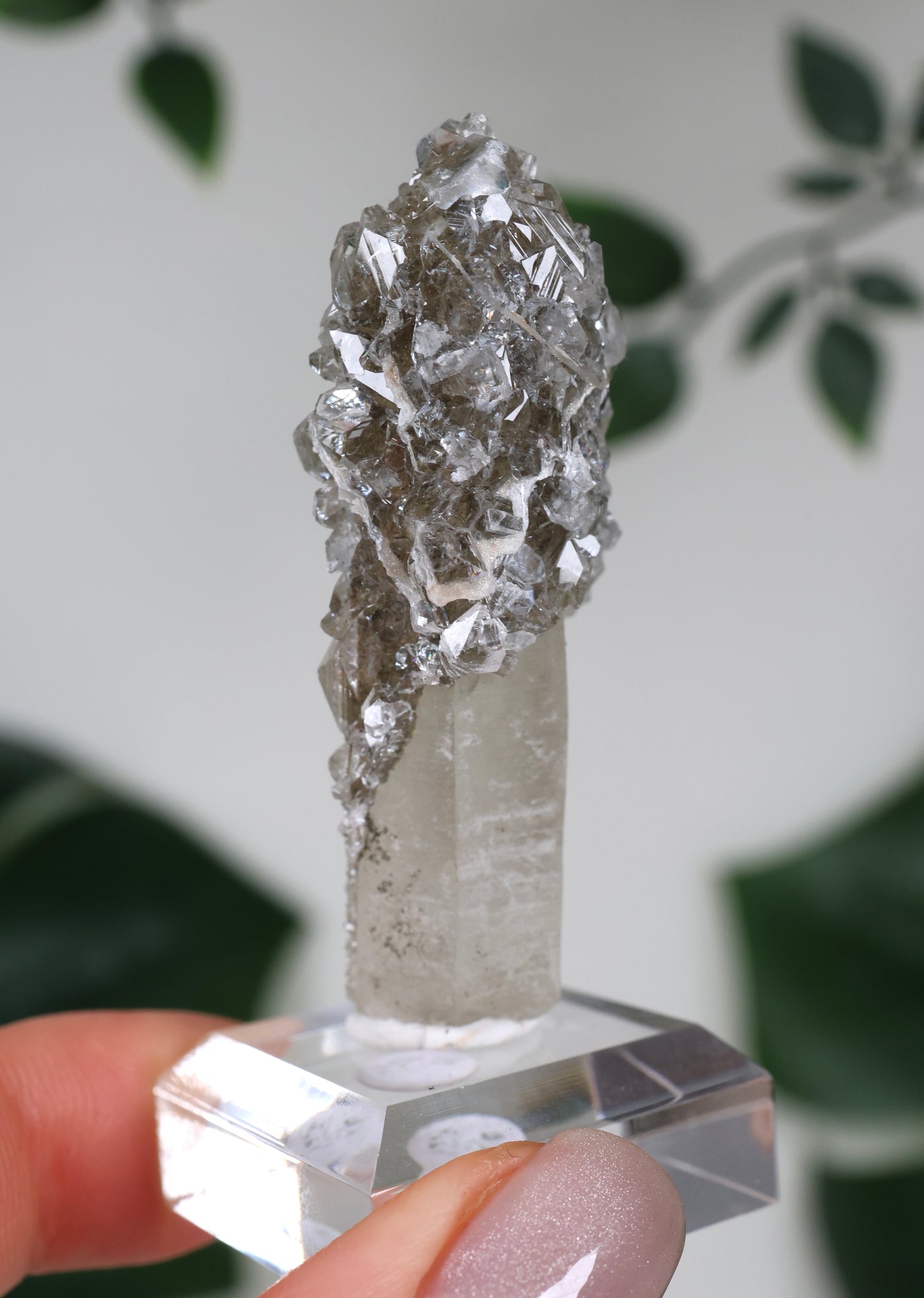 Apophyllit x Quarz x Chlorit Nr.77AP