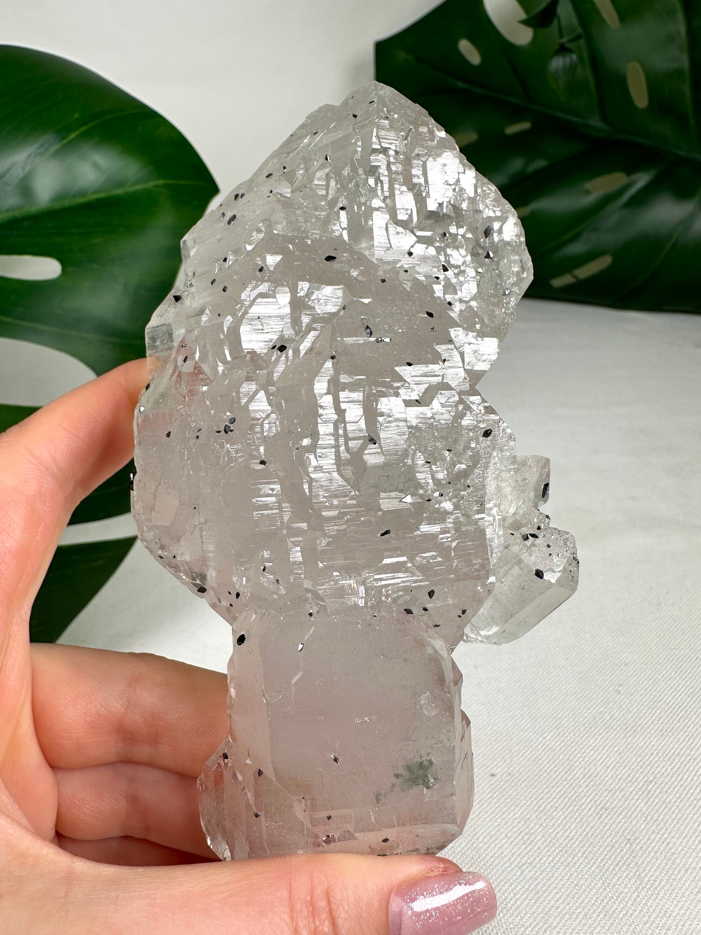 Himalaya Quarz 'Nirvana' mit Anatas Nr.1449HQ