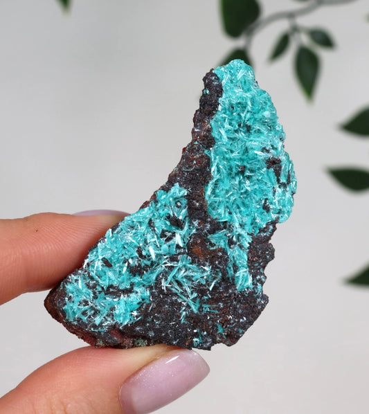 Aurichalcite Nr.37AU