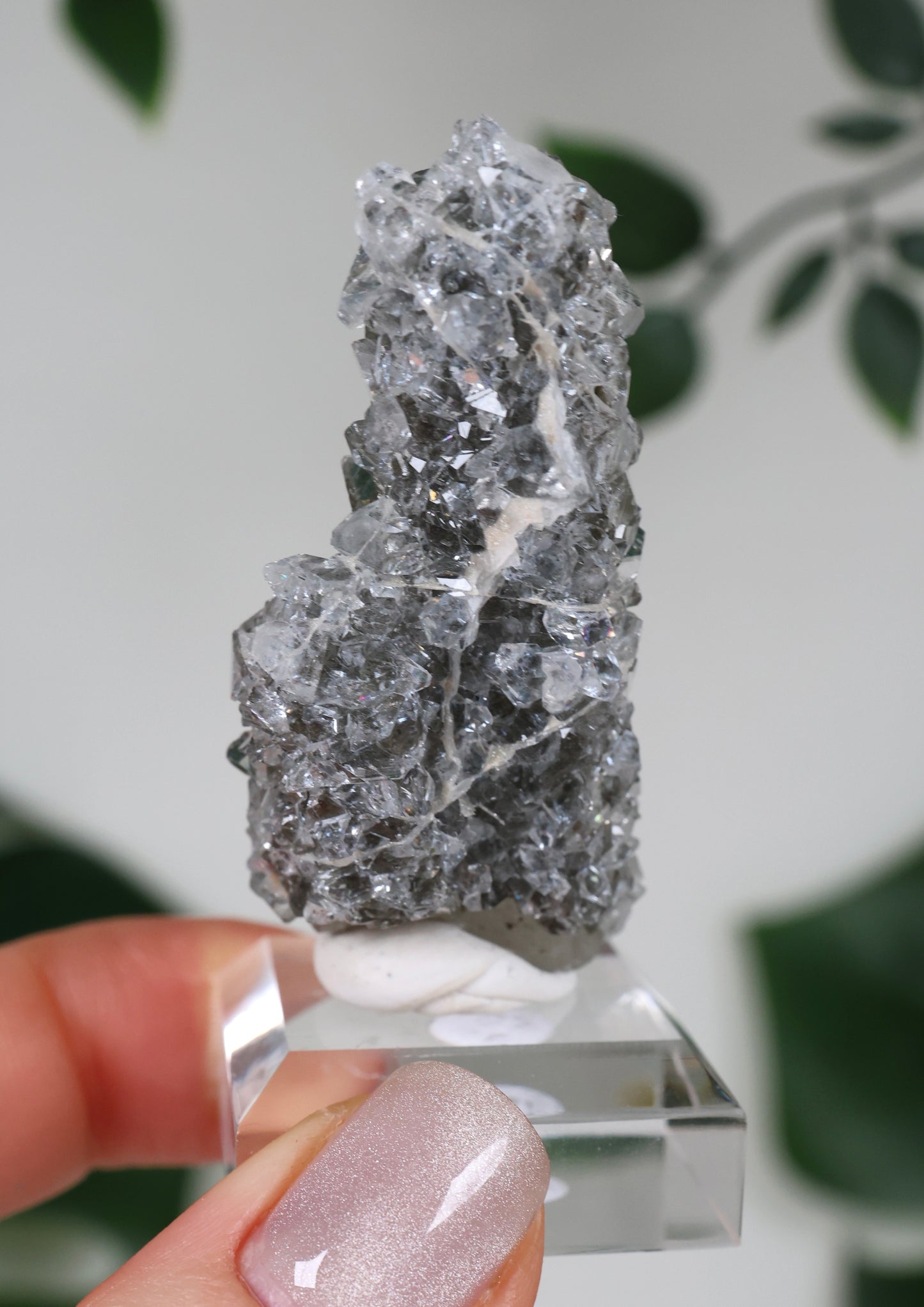 Apophyllit x Quarz x Chlorit Nr.88QA