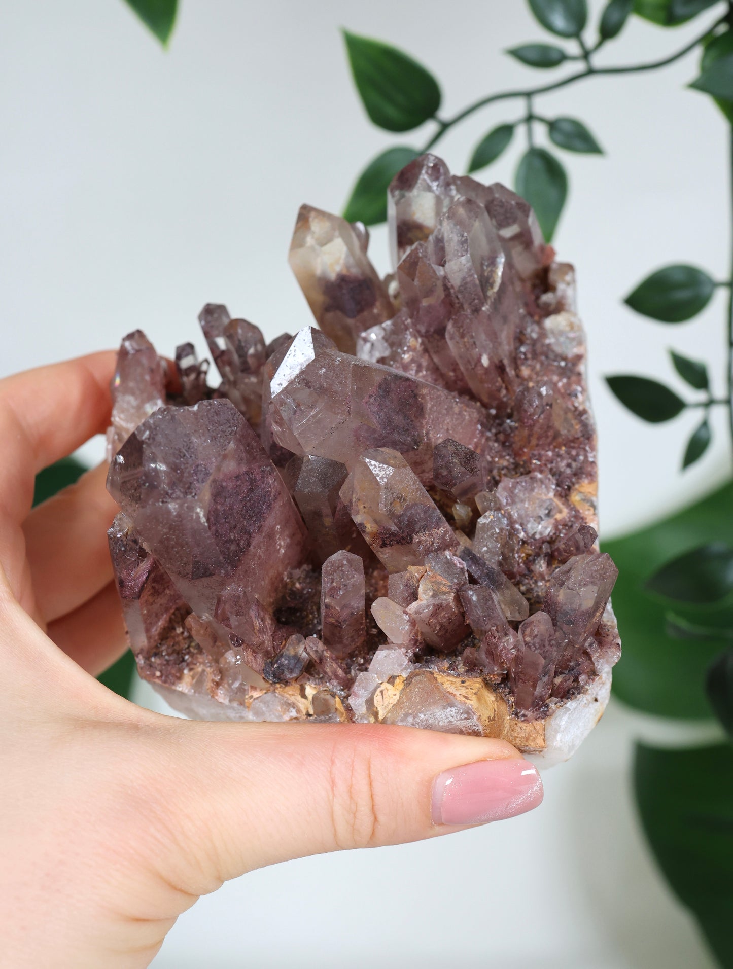 Sunset Quarz Nr.298SQ