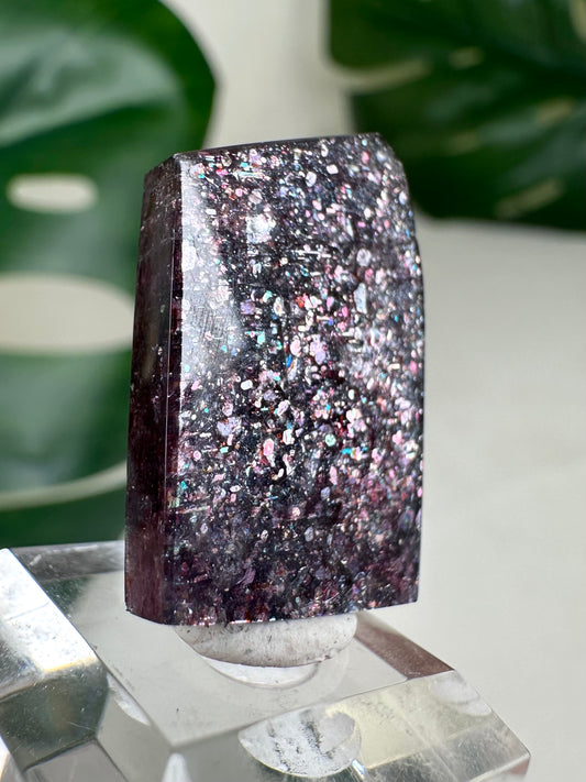Iolita con piedra solar n.º 54IF