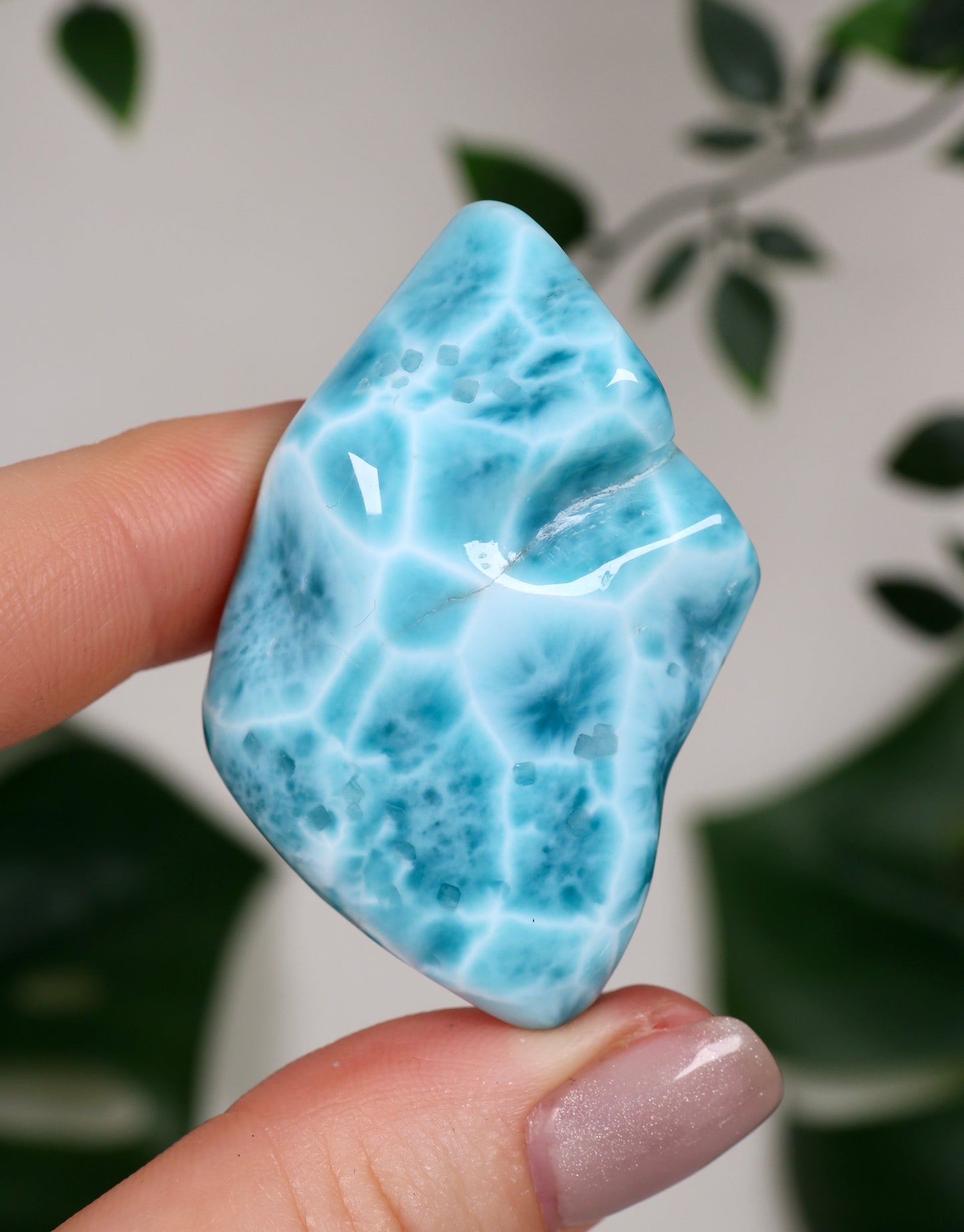 Larimar HQ Nr.383LA