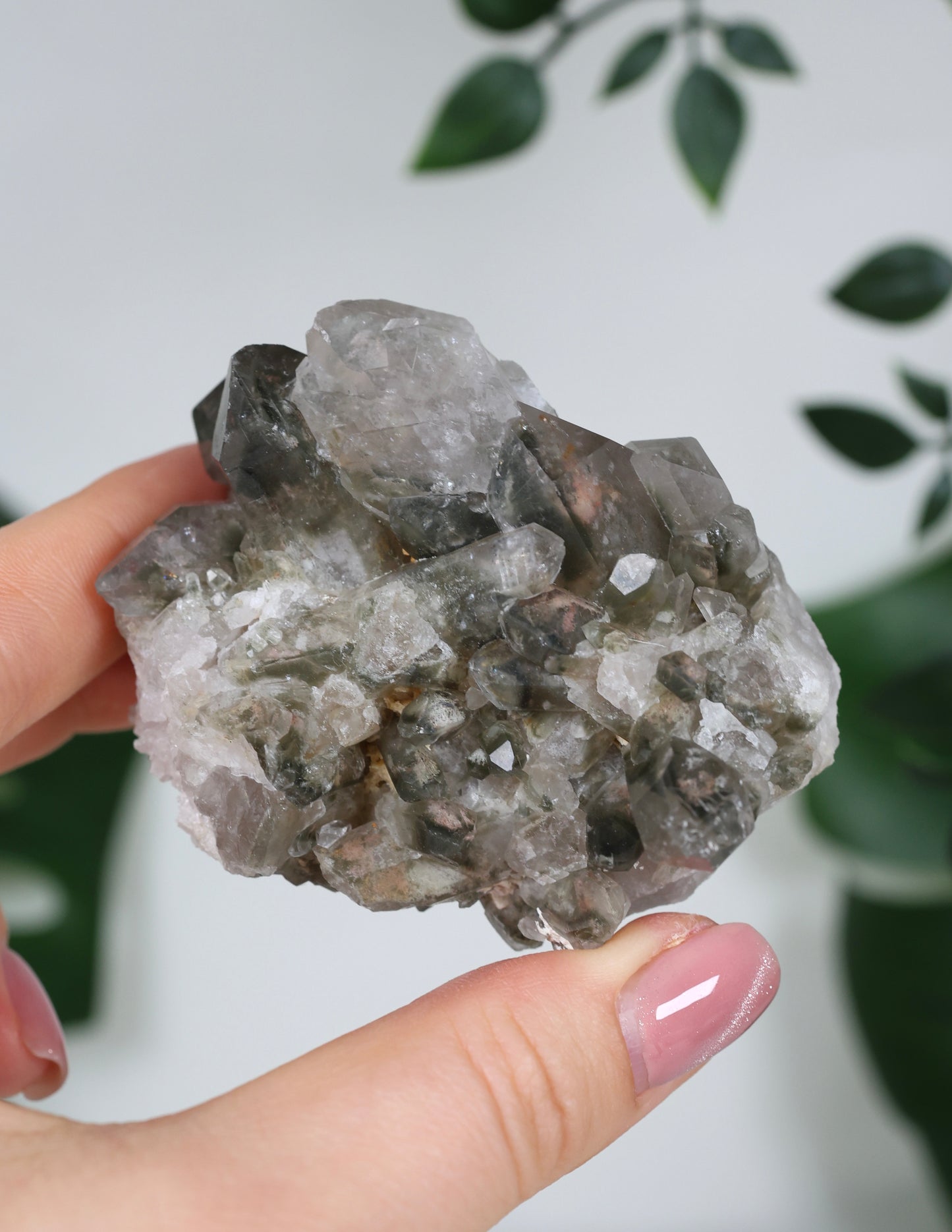 Gartenquarz Cluster Nr.65GQ