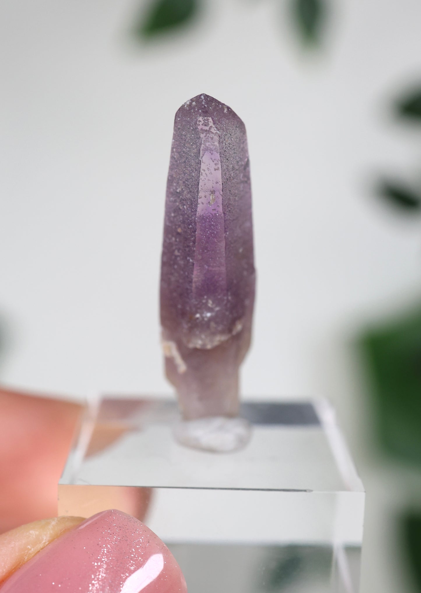 Guerrero Amethyst Oldstock XS - Auswahl