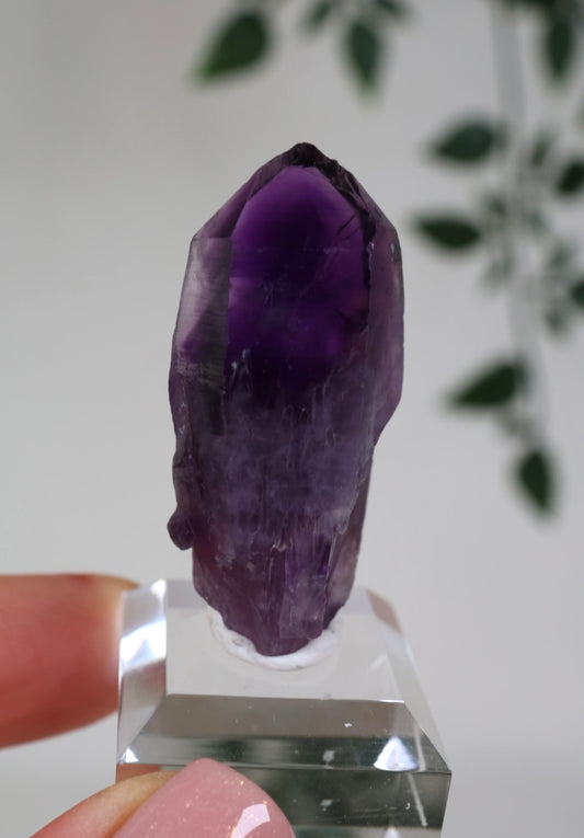 Amethyst - Neufund Nr.42AK