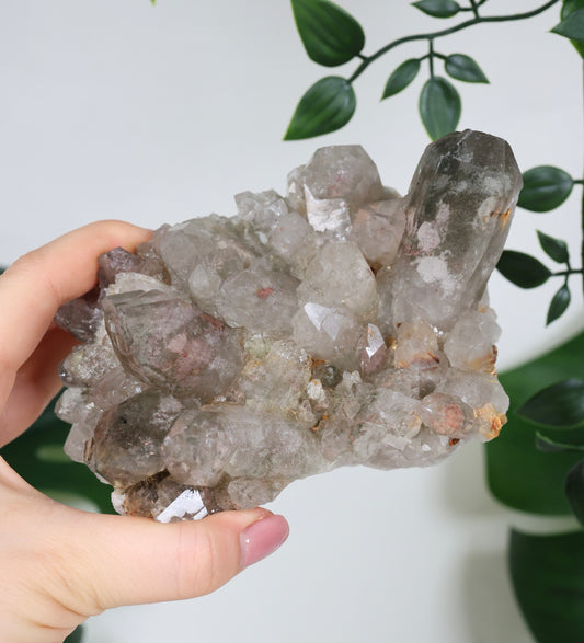 Gartenquarz x Rutil Cluster Nr.319GR