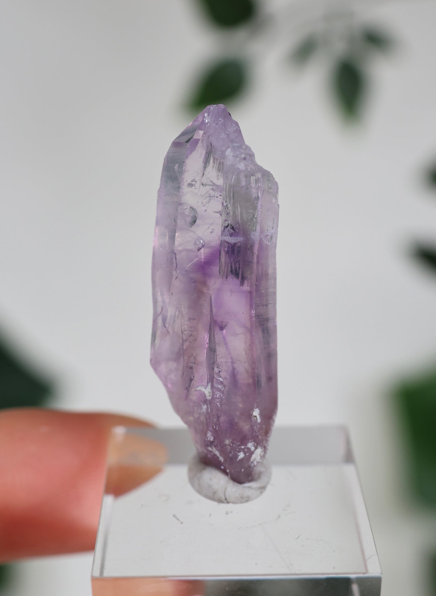 Guerrero Amethyst Oldstock XS - Auswahl