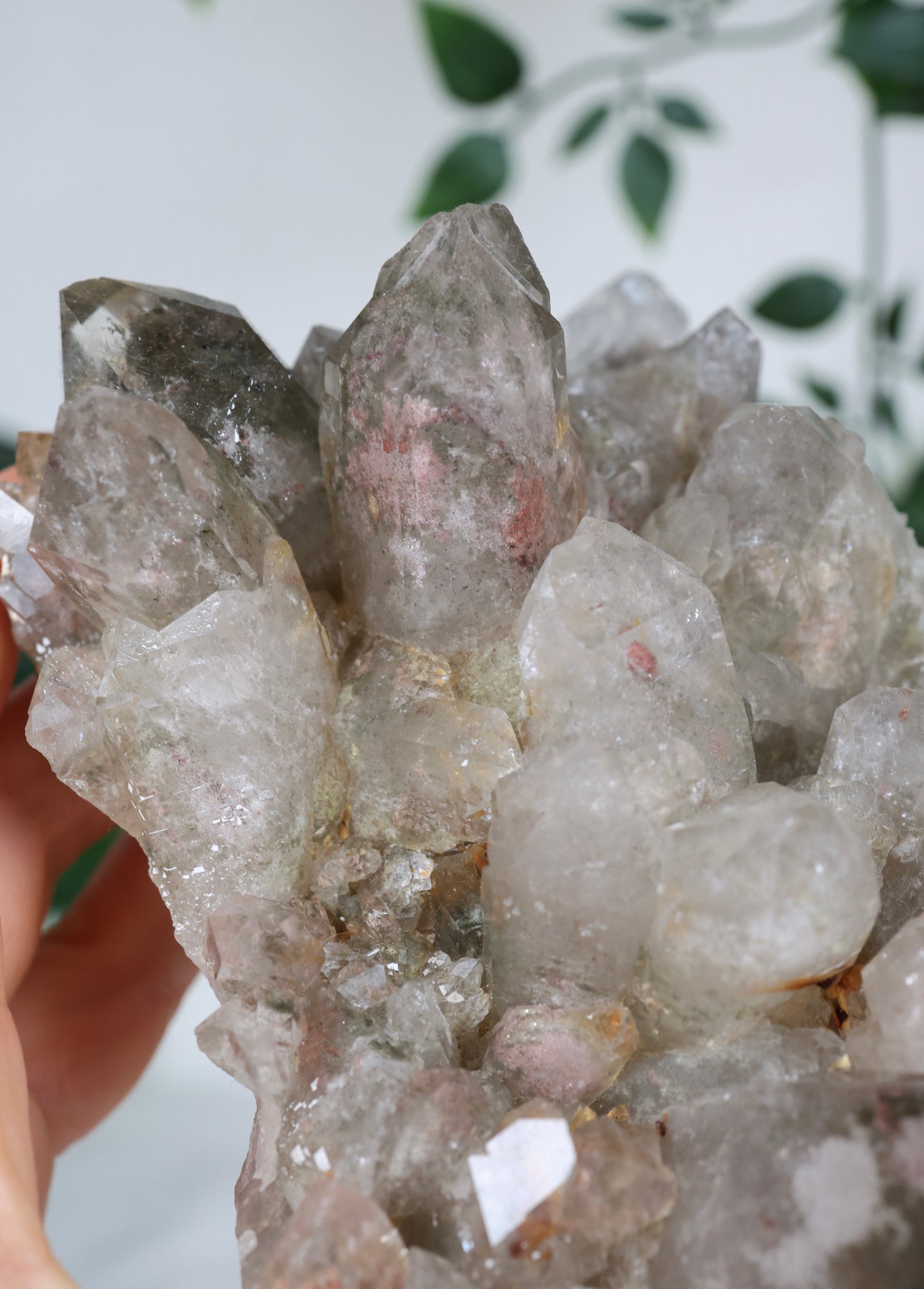 Gartenquarz x Rutil Cluster Nr.319GR