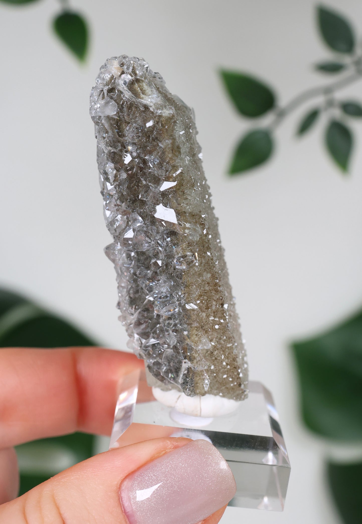 Apophyllit x Quarz x Chlorit Nr.118QA