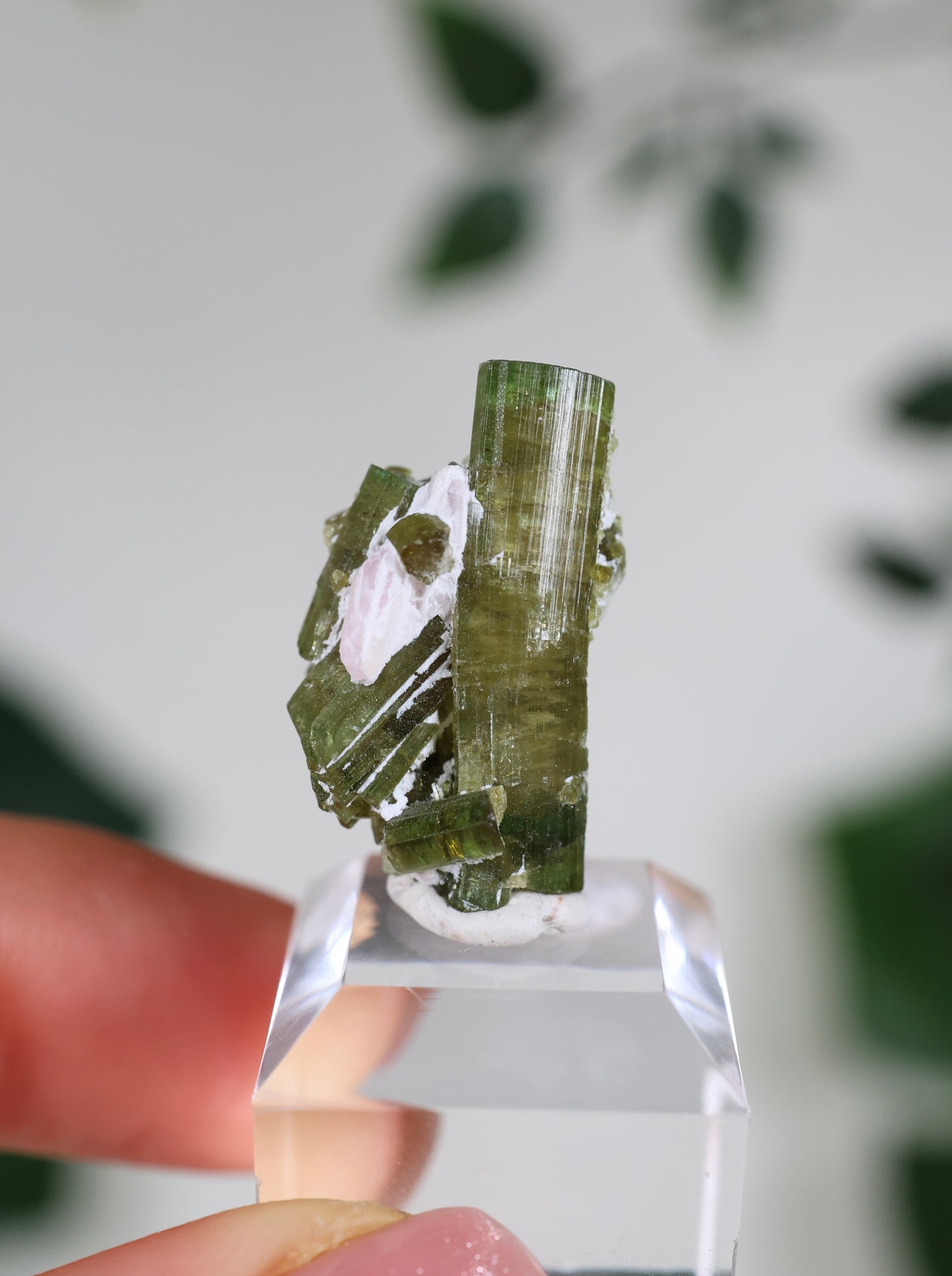 Grüner Turmalin XS - Auswahl