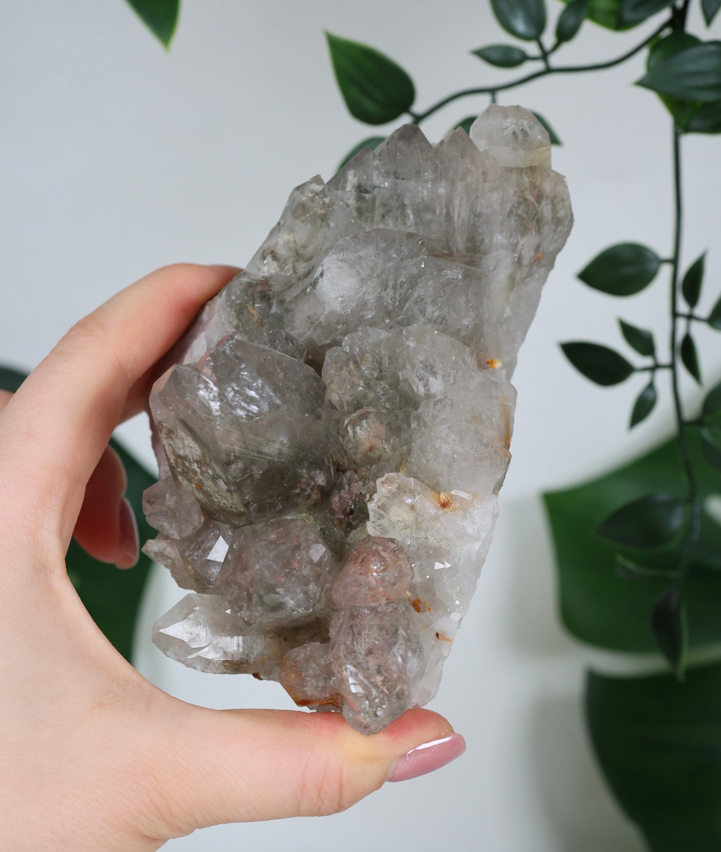 Gartenquarz x Rutil Cluster Nr.310GR