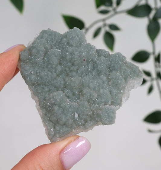 Grüner Apophyllit Crust Nr.38GA