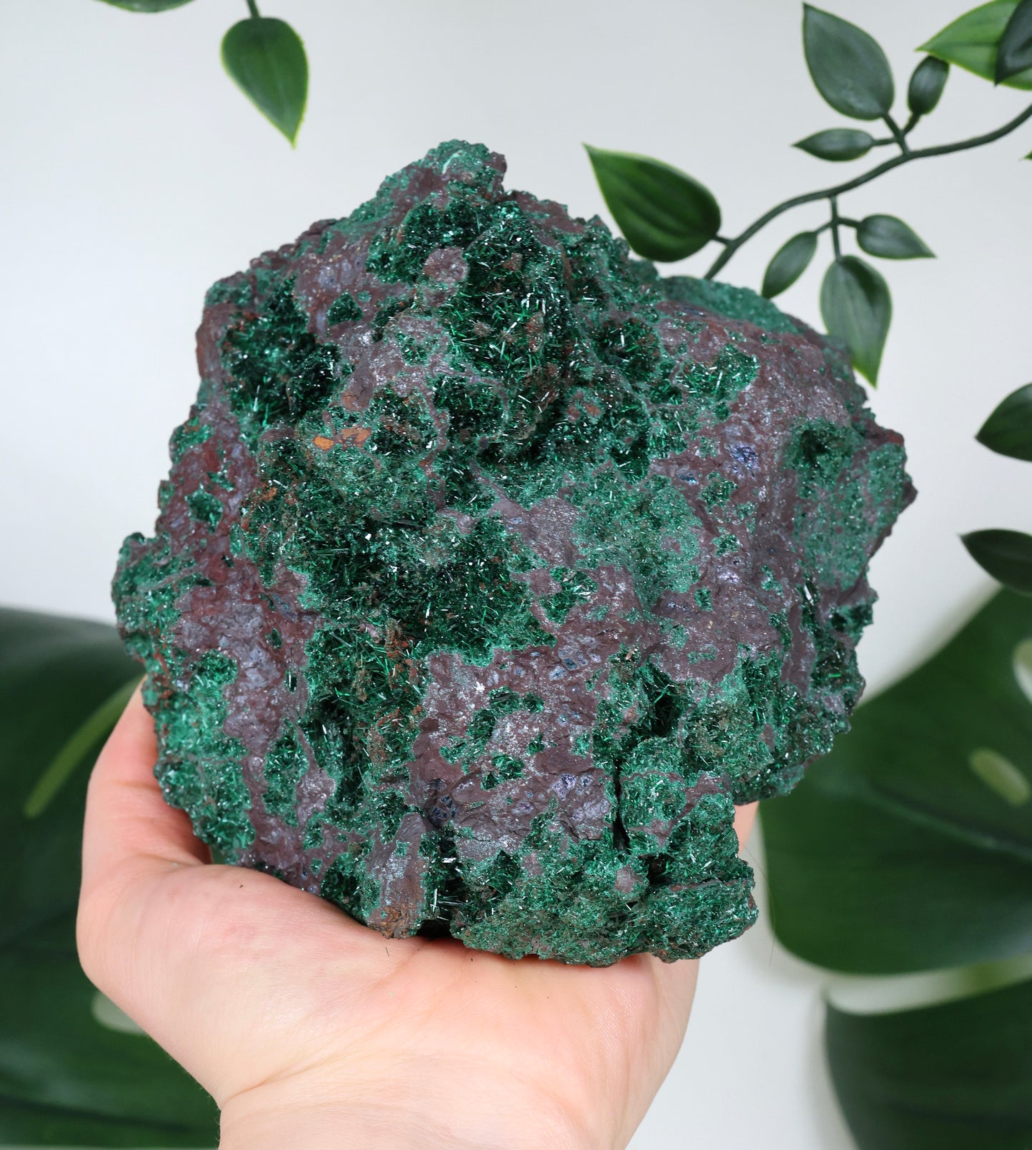 Brochantit x Bornit Nr.295BC