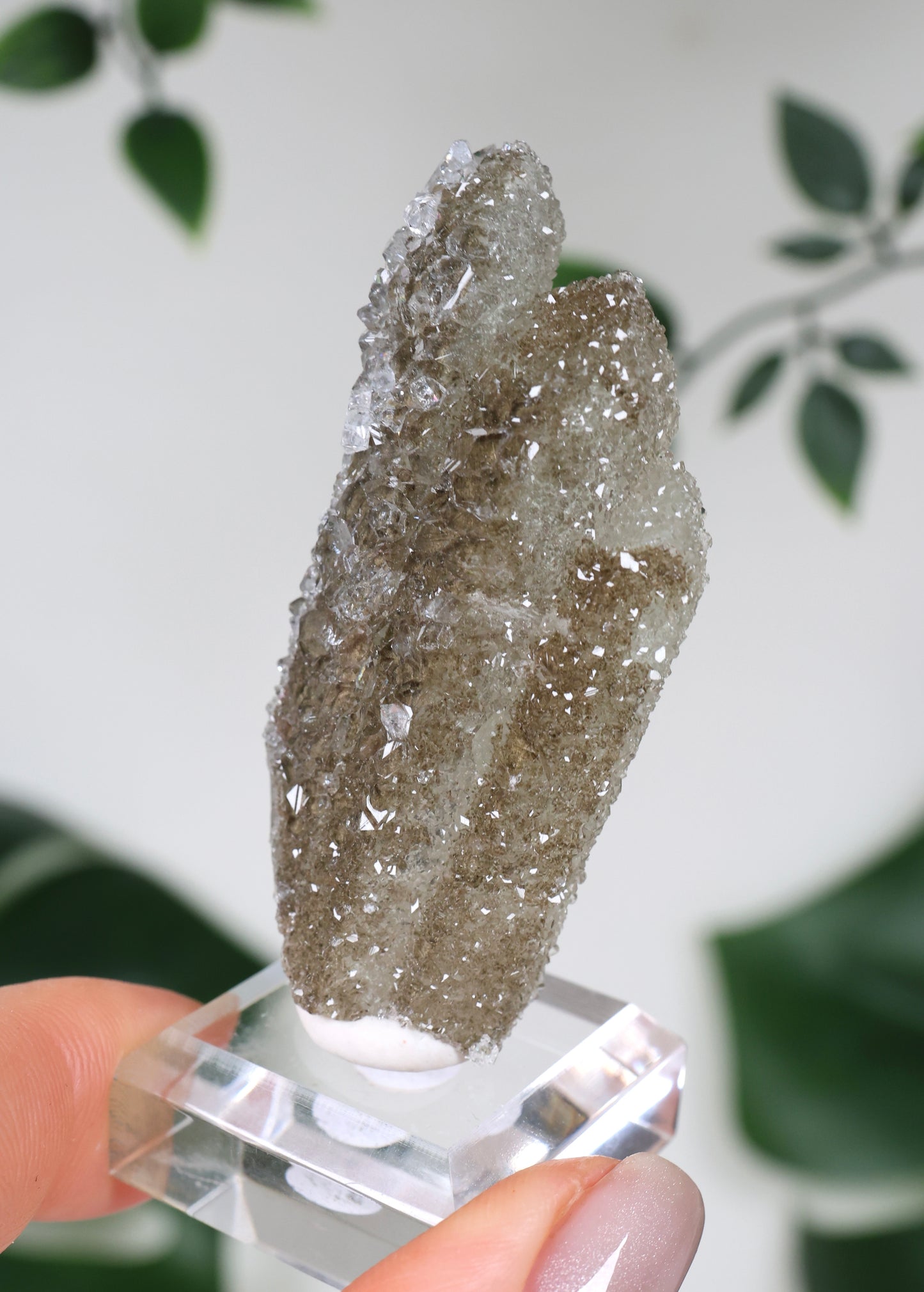 Apophyllit x Quarz x Chlorit Nr.119QA