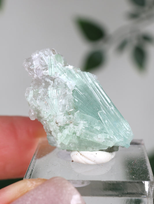 Blauer Turmalin Nr.25TB