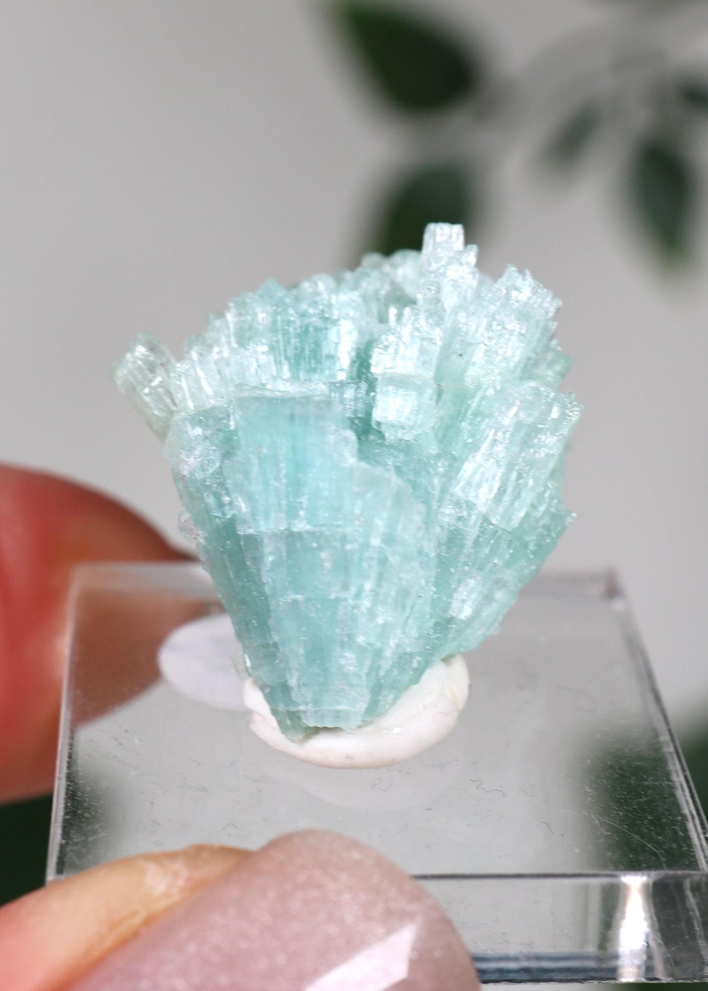 Blauer Turmalin Nr.22TB