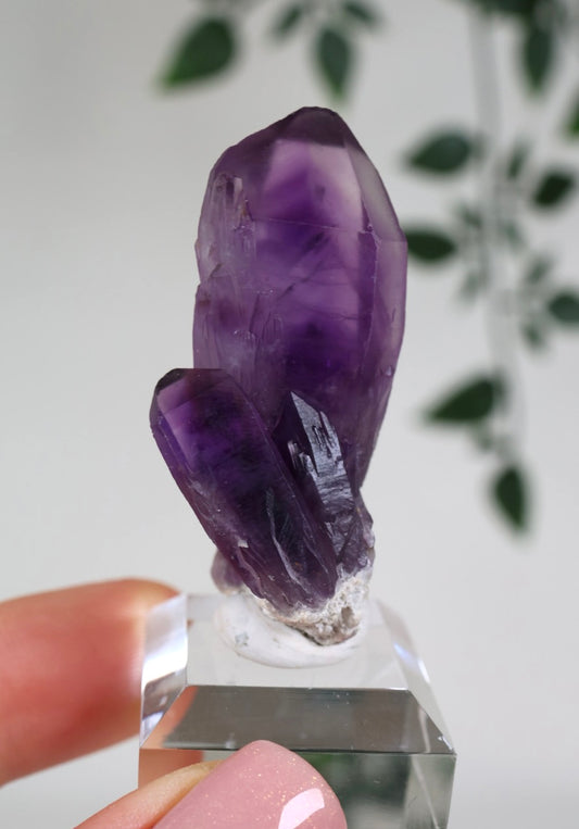 Amethyst - Neufund Nr.47AK
