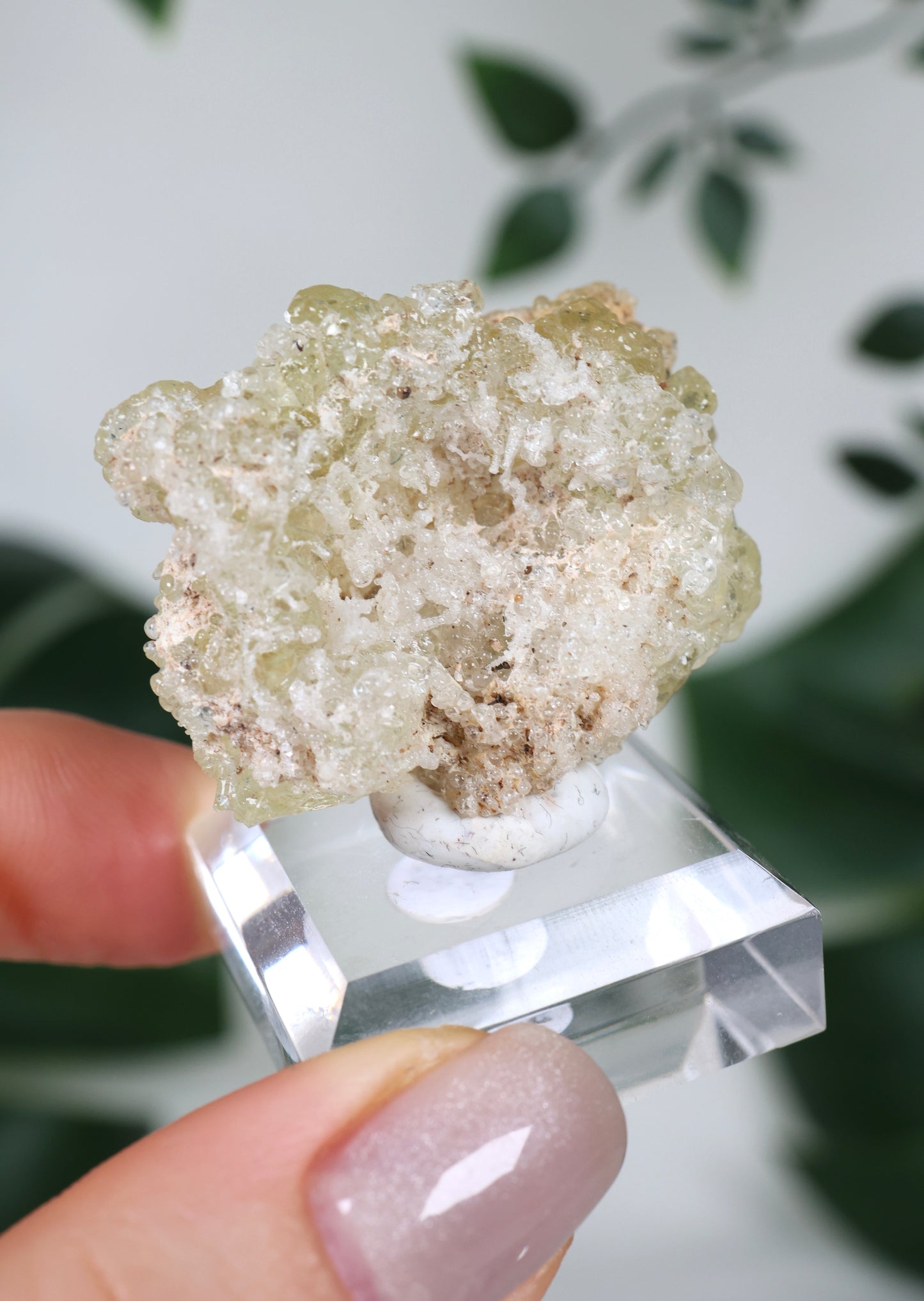 Hyalit Opal Nr.70HO