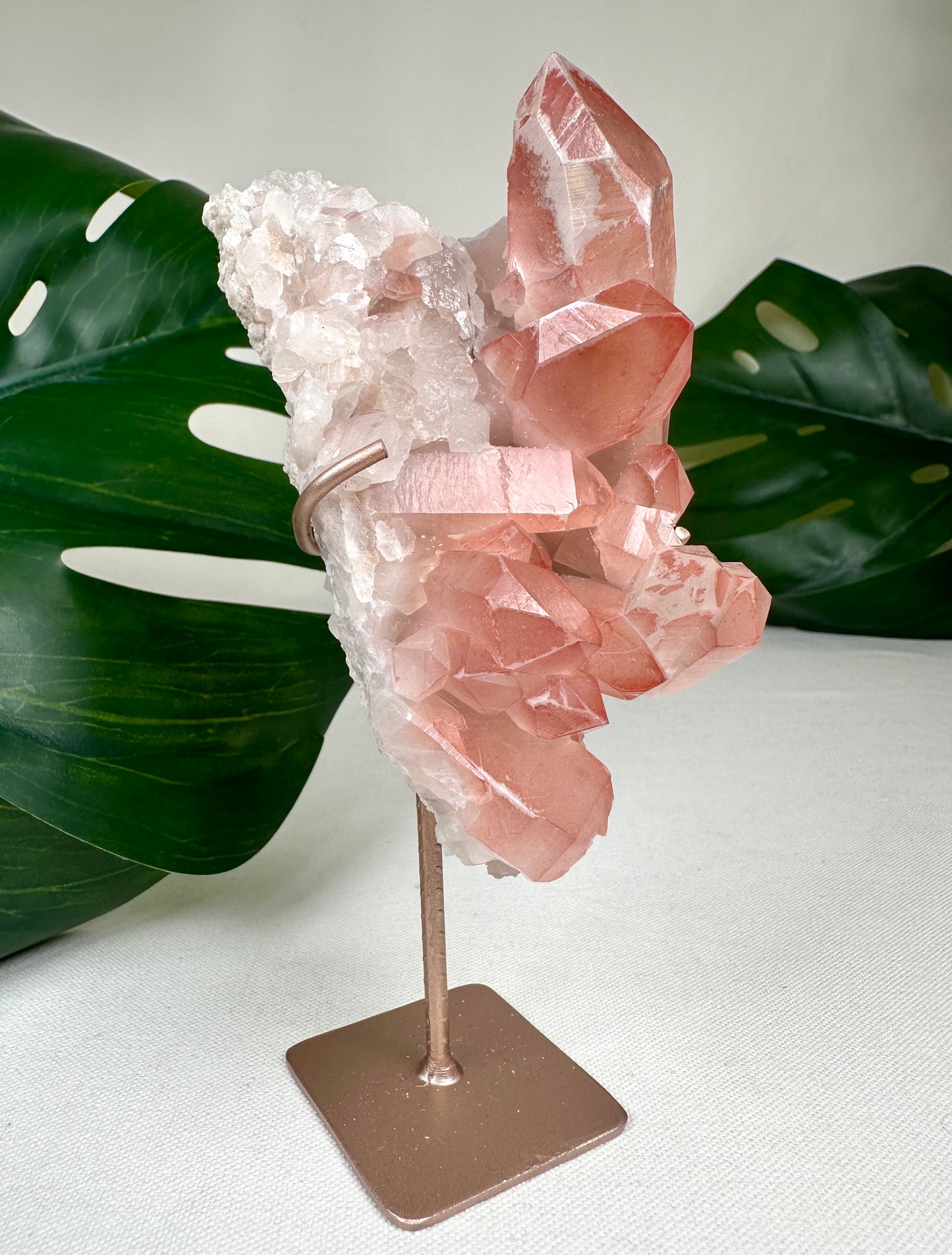 Pink Scarlet Lemurian Nr.242PL