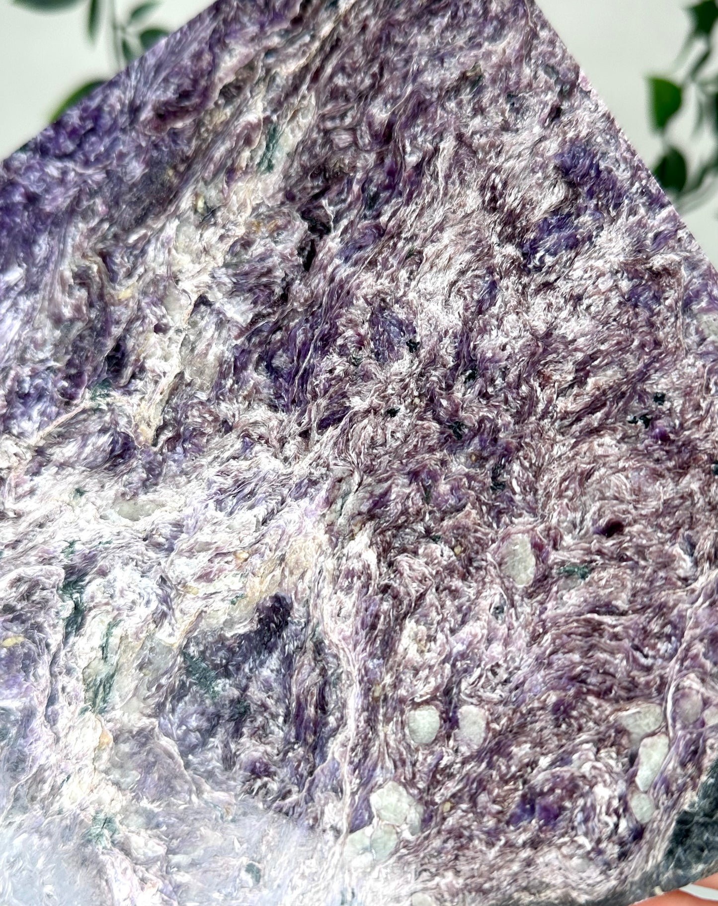 Charoit Scheibe Nr.236CS