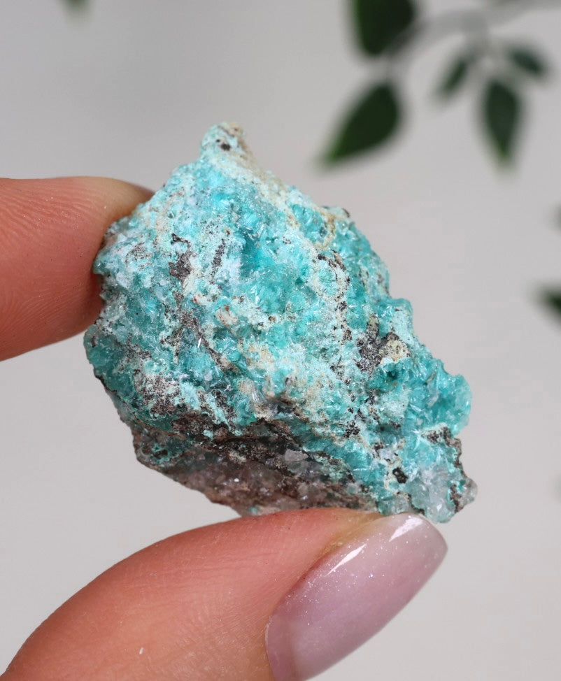 Aurichalcite - Auswahl