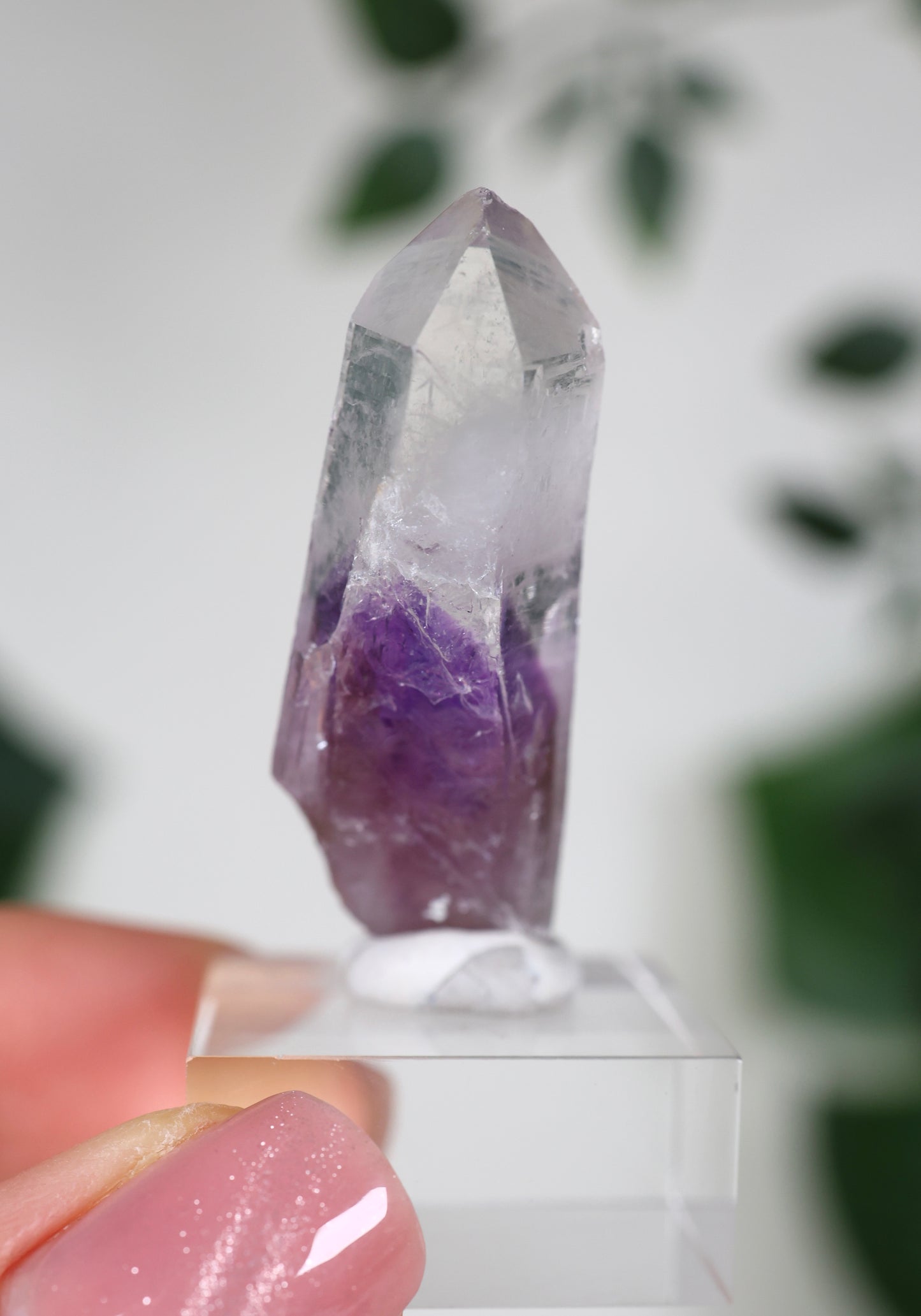 Guerrero Amethyst Oldstock S- Auswahl