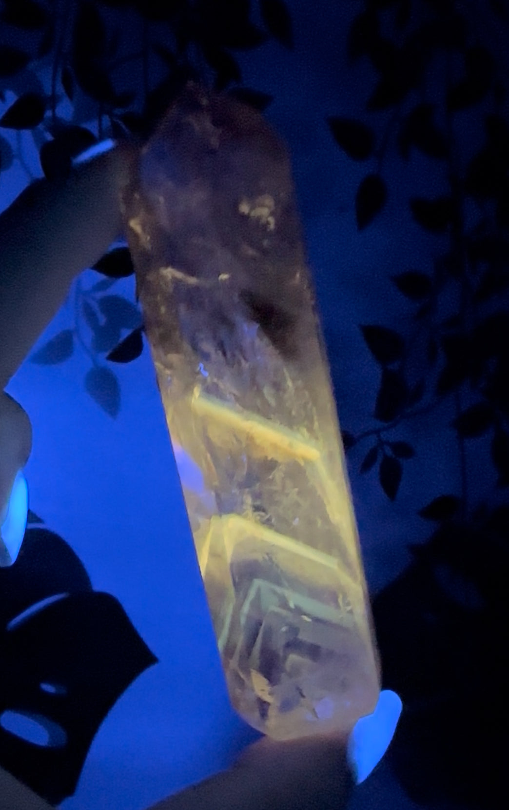 Amethyst x Powellit UV-Reaktiv Nr.64AO