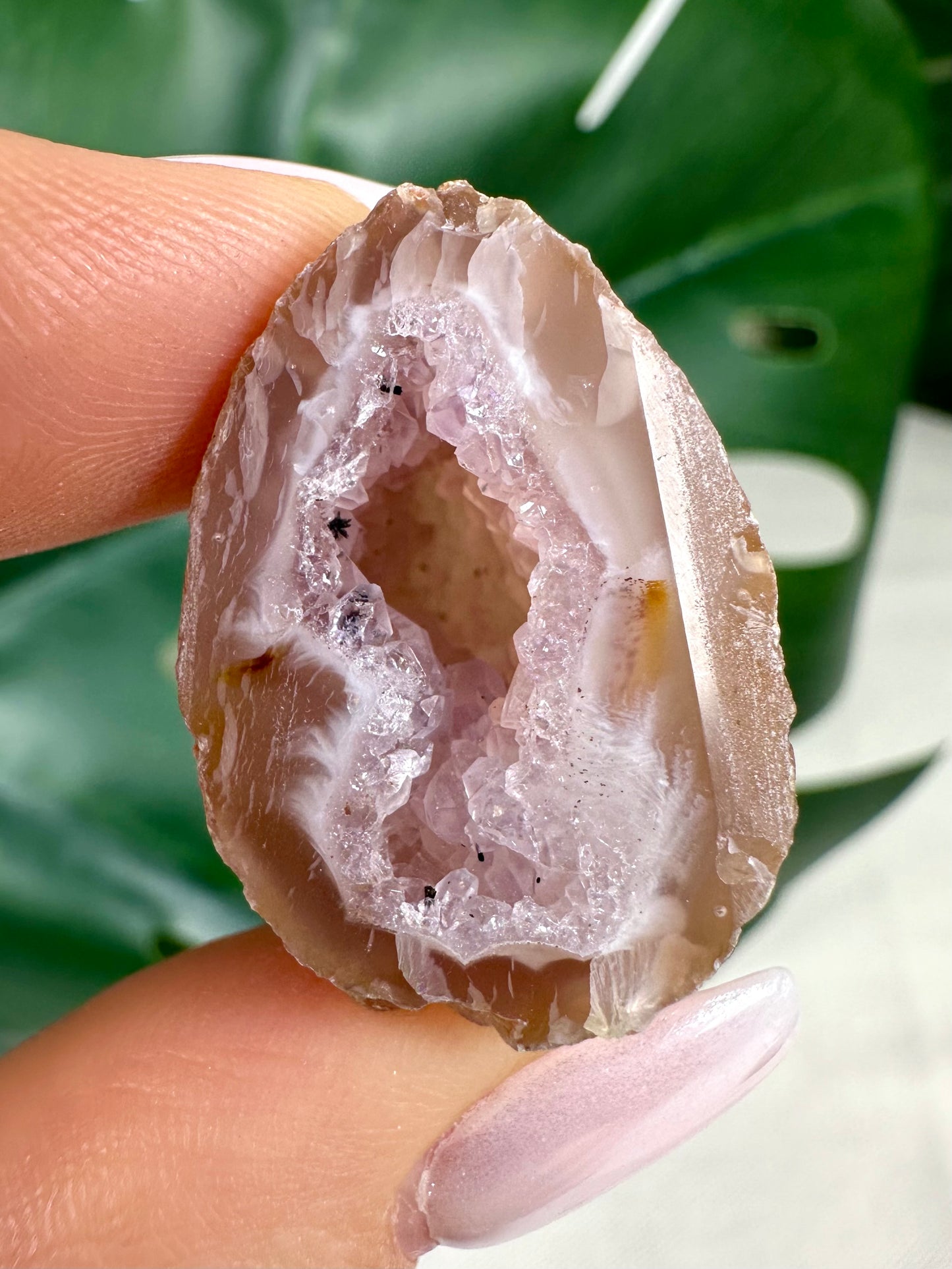 Amethyst Geode Nr. 8A8