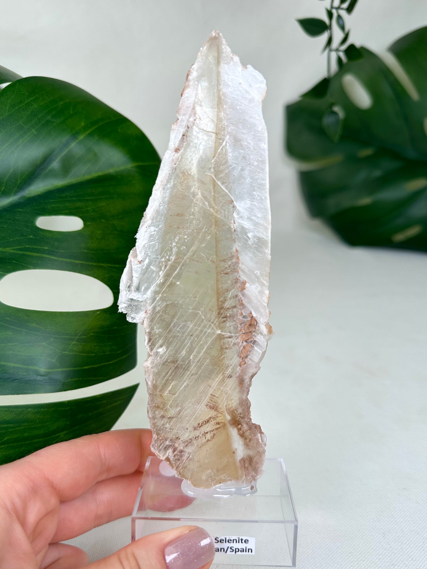 Bicolor Selenite No. 61BS