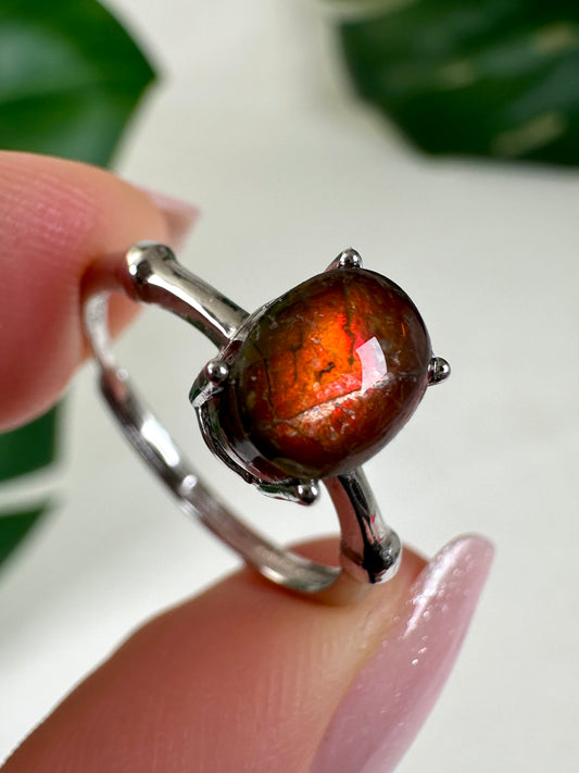 Ammolit Ring in 925 Silber Nr.49A3