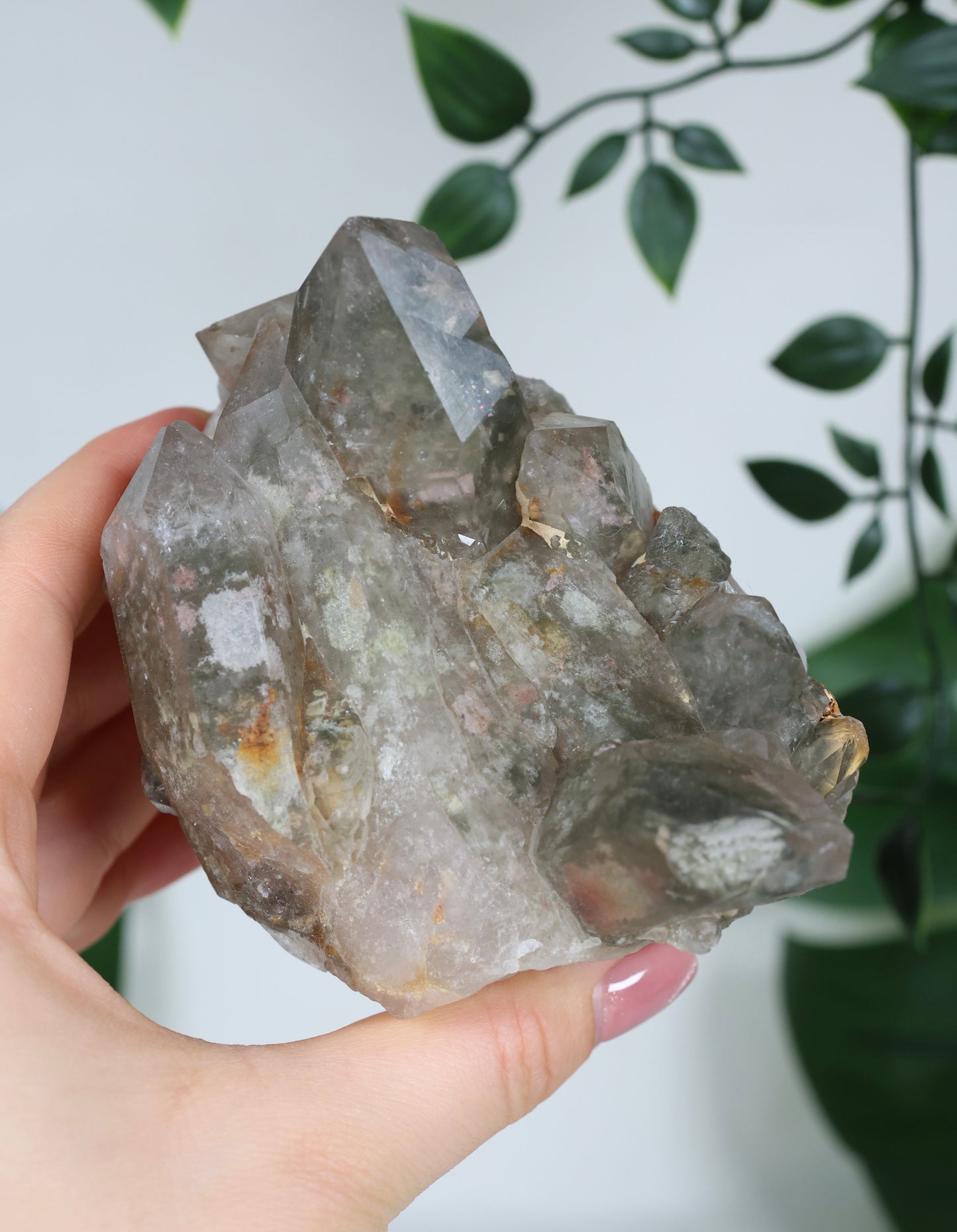 Gartenquarz x Rutil Cluster Nr.245GR