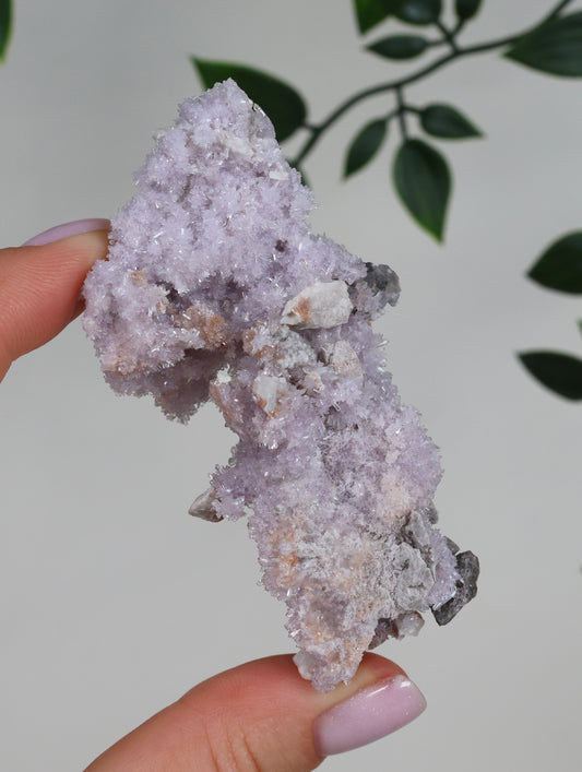 Lilaner Creedite Nr.127LC